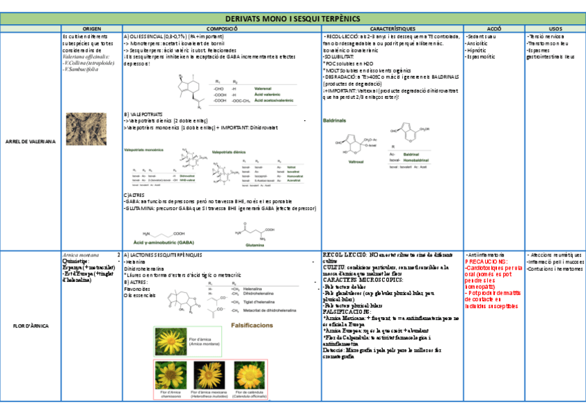 Miniatura del documento QUADRES-BLOC-4-.xlsx-VALERIANAARNICA.pdf