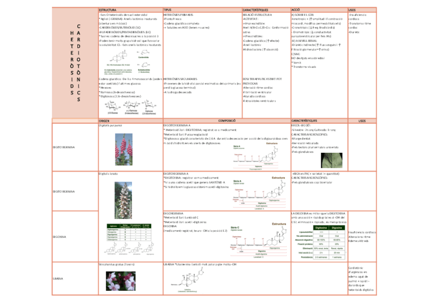 Miniatura del documento t29.pdf
