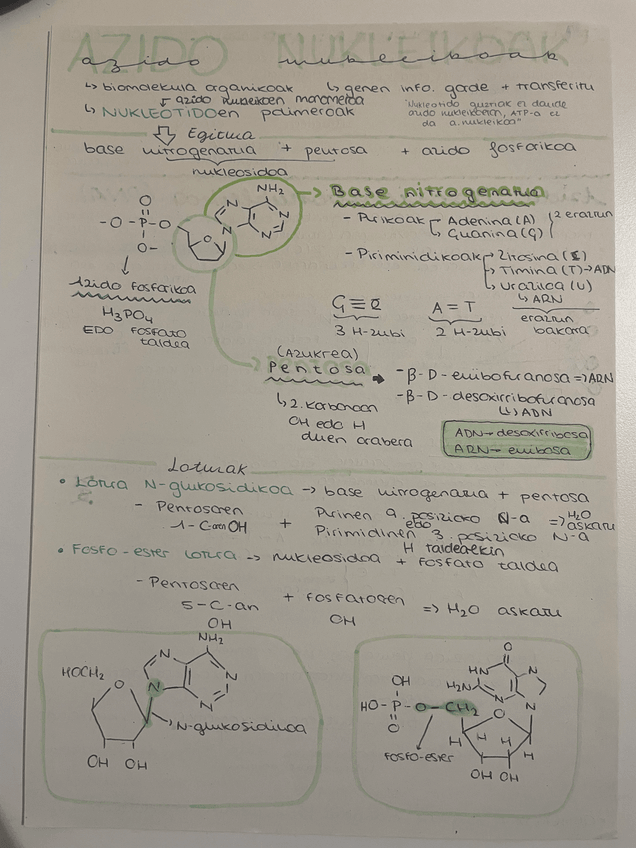 Miniatura del documento Azido-nukleikoak.pdf