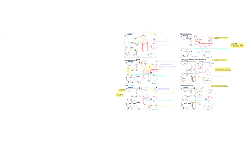 Miniatura del documento practicas-situaciones-temas-12-22.pdf