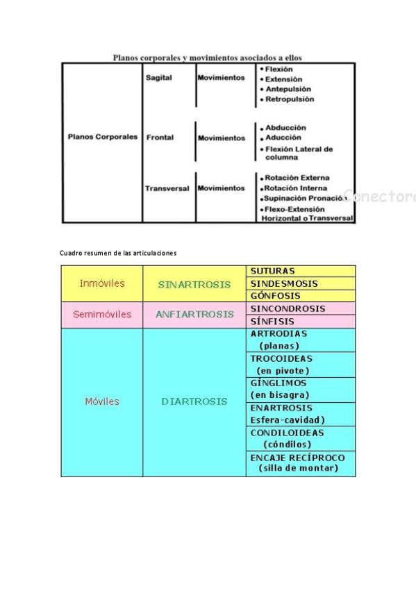 Miniatura del documento VARIOS-CUADROS-REUMEN.pdf