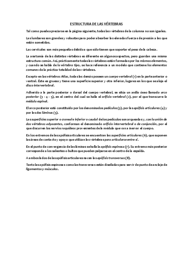 Miniatura del documento Asi-se-construye-una-vertebra-tipo.pdf