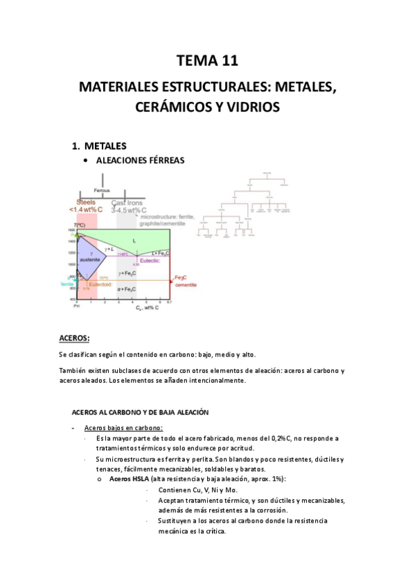 Miniatura del documento TEMA-11.pdf