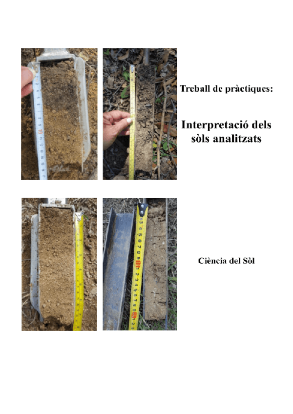 Miniatura del documento Treball-de-practiques-CDS-.pdf