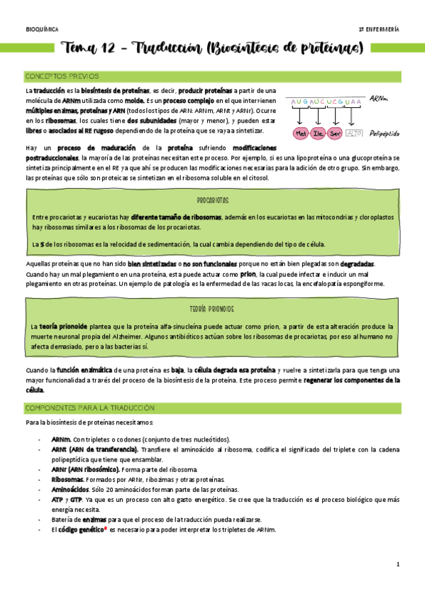 Miniatura del documento Tema-12-Traduccion.pdf