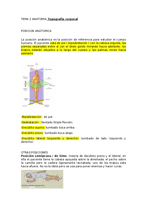 Miniatura del documento TEMA-2-ANATOMIA-Topografia-corporal.docx