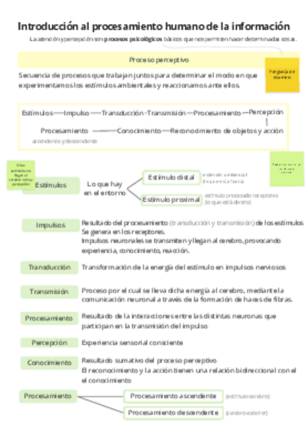Miniatura del documento Psicologia-de-la-Atencion-y-Percepcion.pdf
