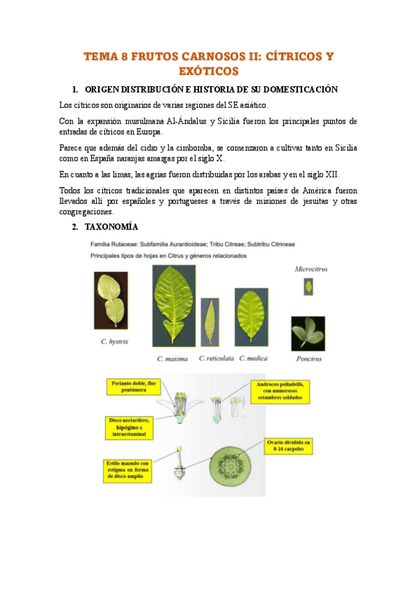 Miniatura del documento TEMA-8-FRUTOS-CARNOSOS-II.pdf