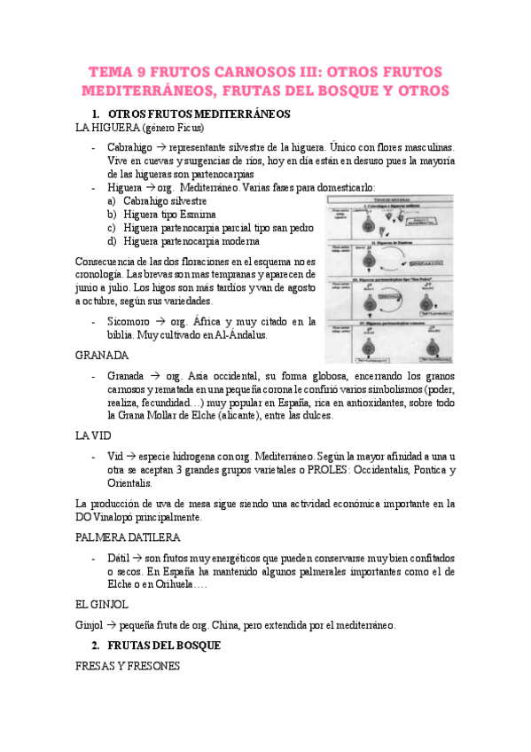 Miniatura del documento TEMA-9-OTROS-FRUTOS-MEDITERRANEOS-FRUTAS-DEL-BOSQUE-Y-OTROS.pdf