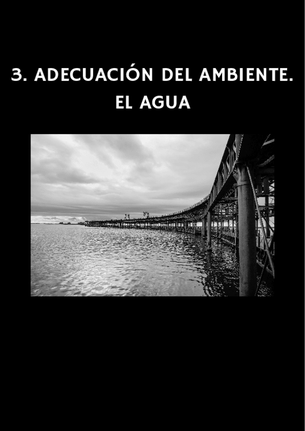 Miniatura del documento TEMA-3.pdf