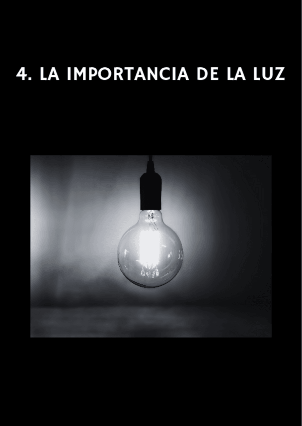 Miniatura del documento TEMA-4.pdf