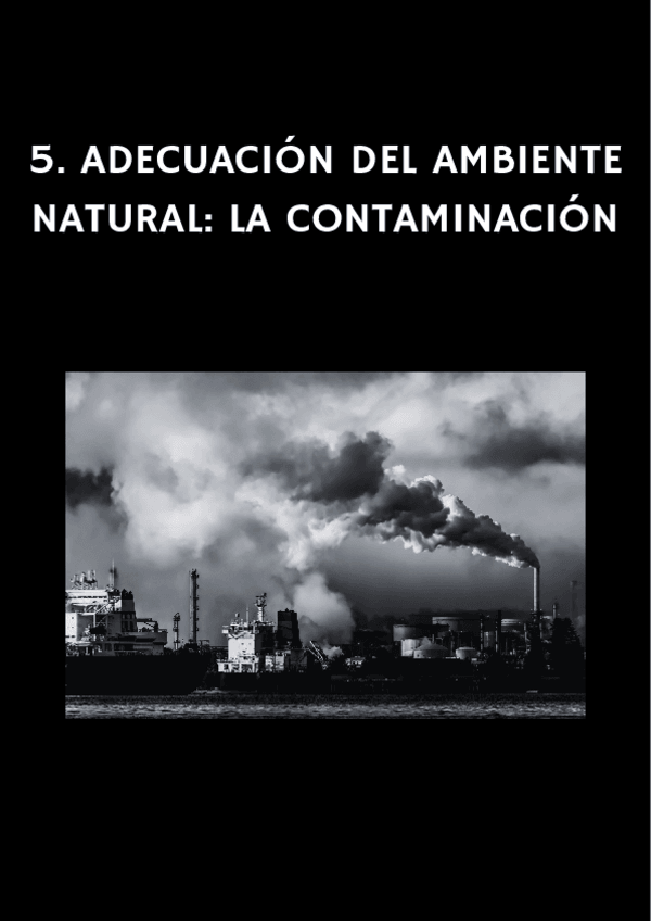 Miniatura del documento TEMA-5.pdf