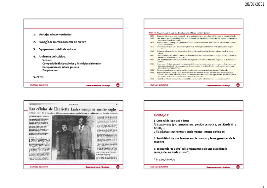 Miniatura del documento Clases-teoria-cultivo-celular-1-ADI.pdf