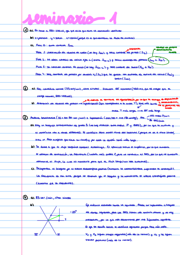 Miniatura del documento Seminarios-Circulatorio.pdf