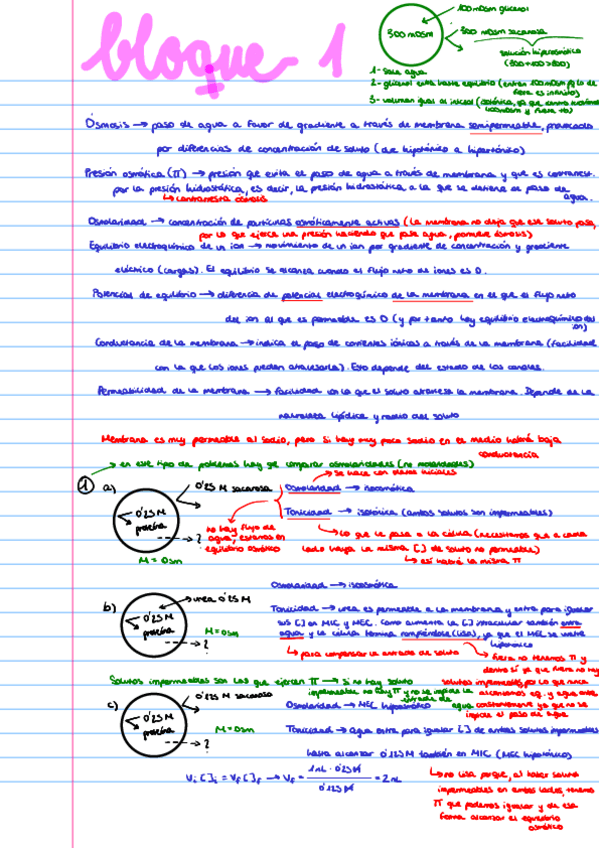 Miniatura del documento Seminarios-Fisio-General.pdf