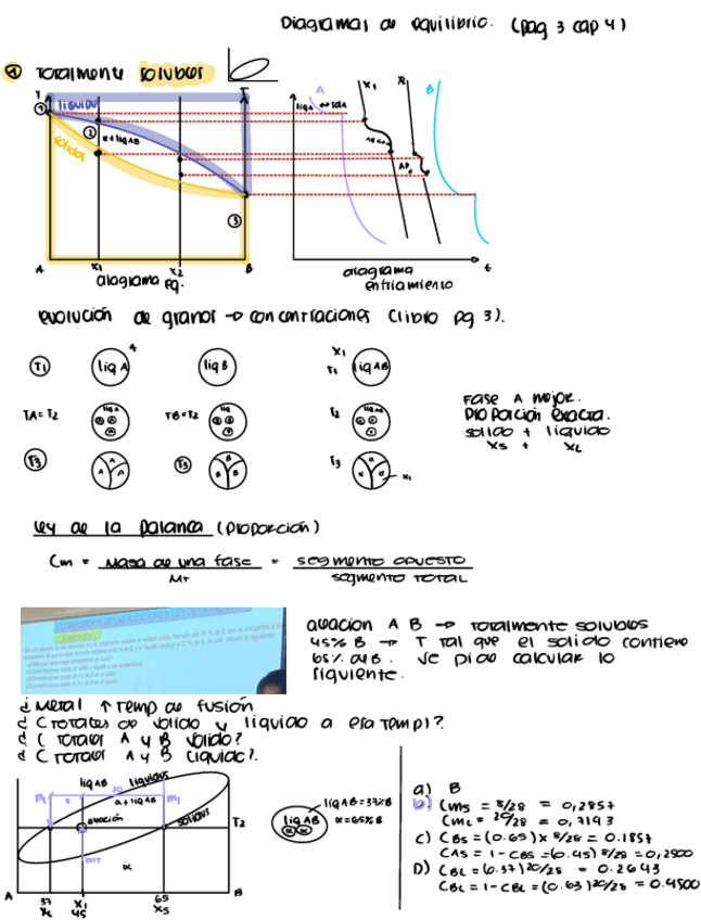 Miniatura del documento Cm-diagramas-de-equilibrio.pdf