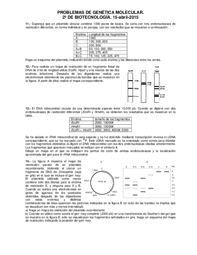 Miniatura del documento Problemas 2.pdf