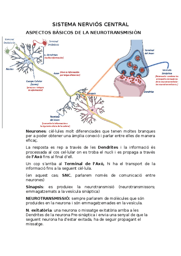 Miniatura del documento Antiepileticos-Antipsicoticos-y-AntiparkisonianosURL.docx