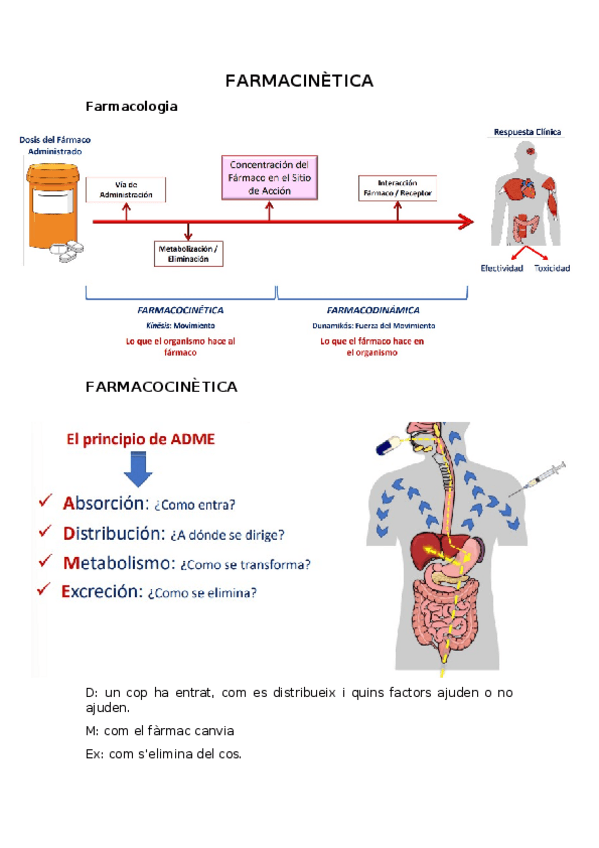 Miniatura del documento FARMACINETICA.docx