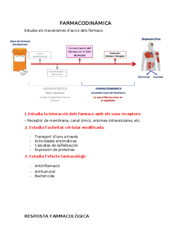 Miniatura del documento FARMACODINAMICA.docx