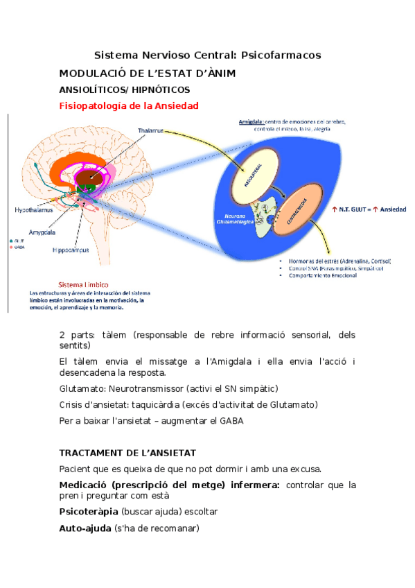 Miniatura del documento Sistema-Nervioso-Central.docx