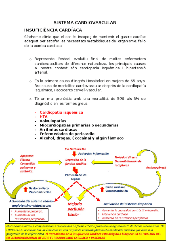 Miniatura del documento SISTEMA-CARDIOVASCULAR.docx