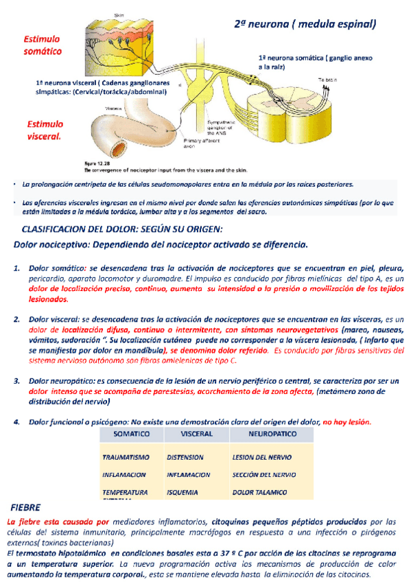 Miniatura del documento REPAS-EXAMEN.docx