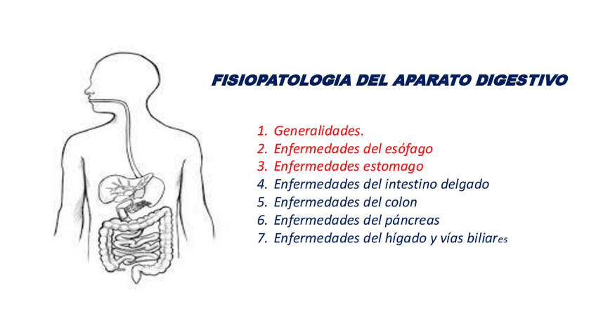 Miniatura del documento 1.-Digestivo.pdf