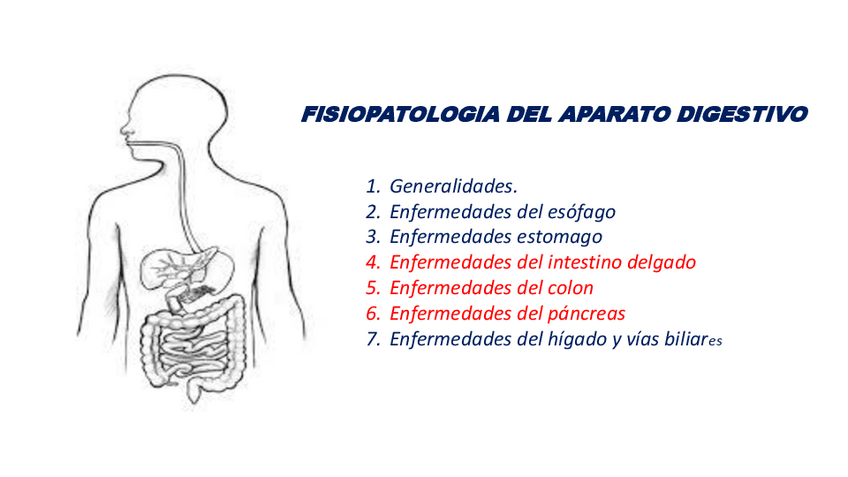 Miniatura del documento 2.-Digestivo.pdf