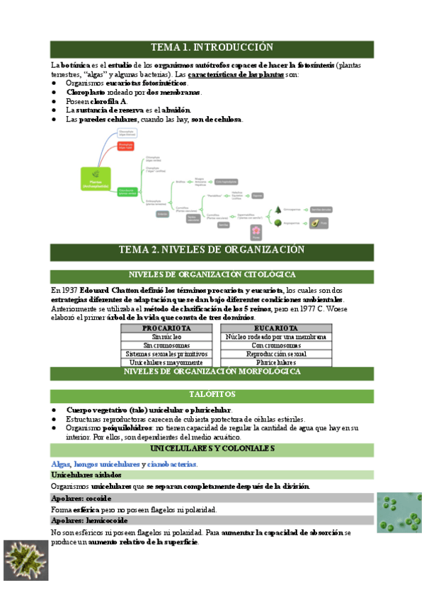 Miniatura del documento primer-parcial.pdf