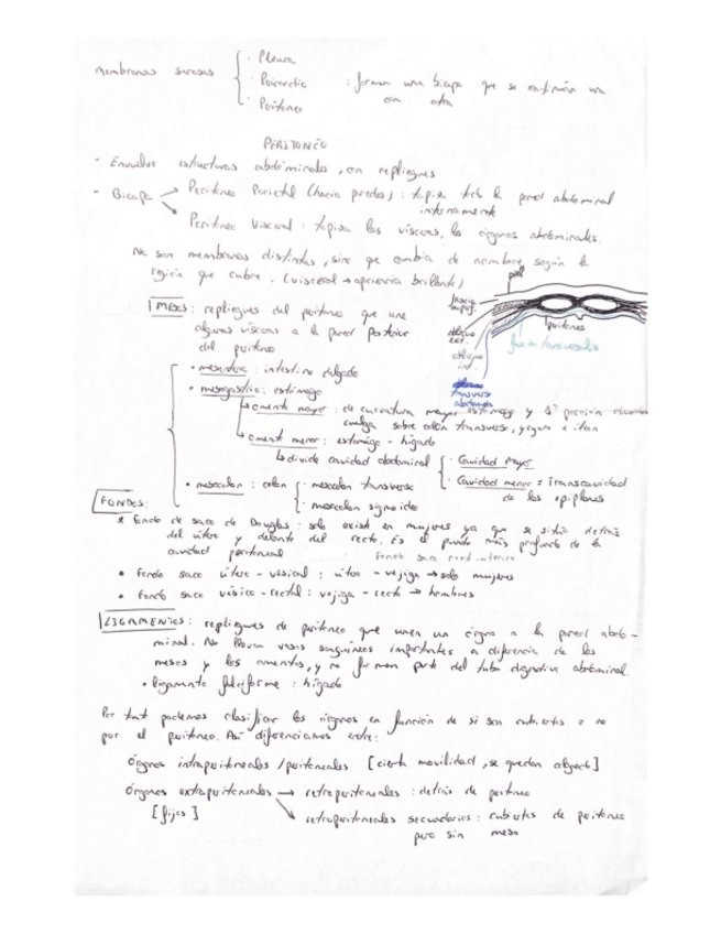 Miniatura del documento Esquemas.pdf