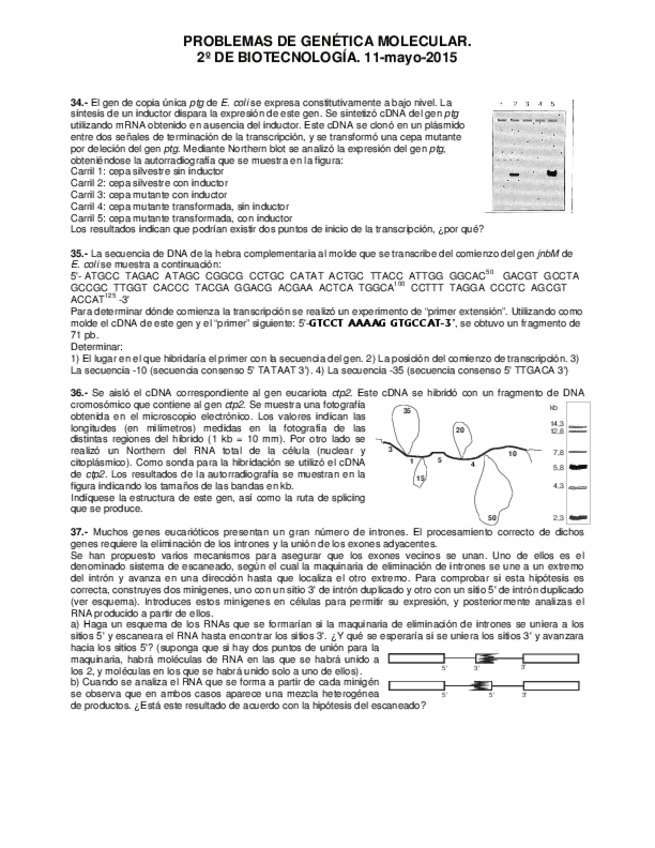 Miniatura del documento Problemas 4.pdf
