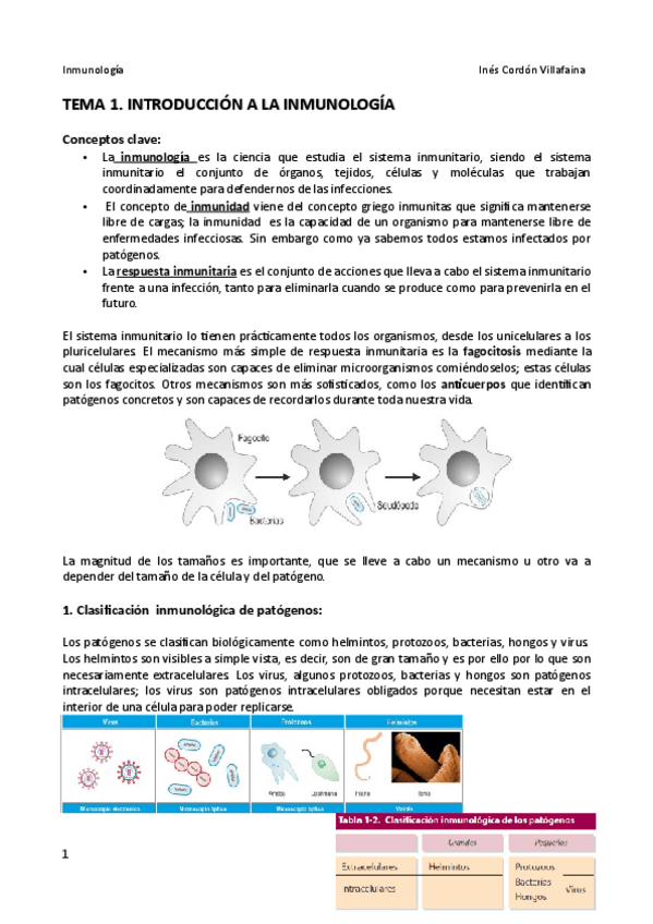 Miniatura del documento TEMA 1.pdf
