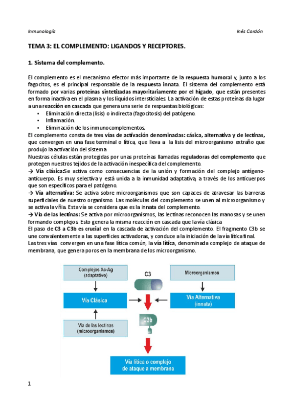 Miniatura del documento TEMA 3.pdf