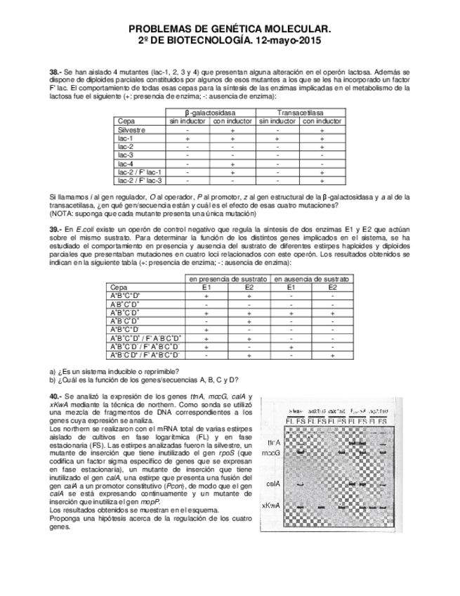 Miniatura del documento Problemas 5.pdf