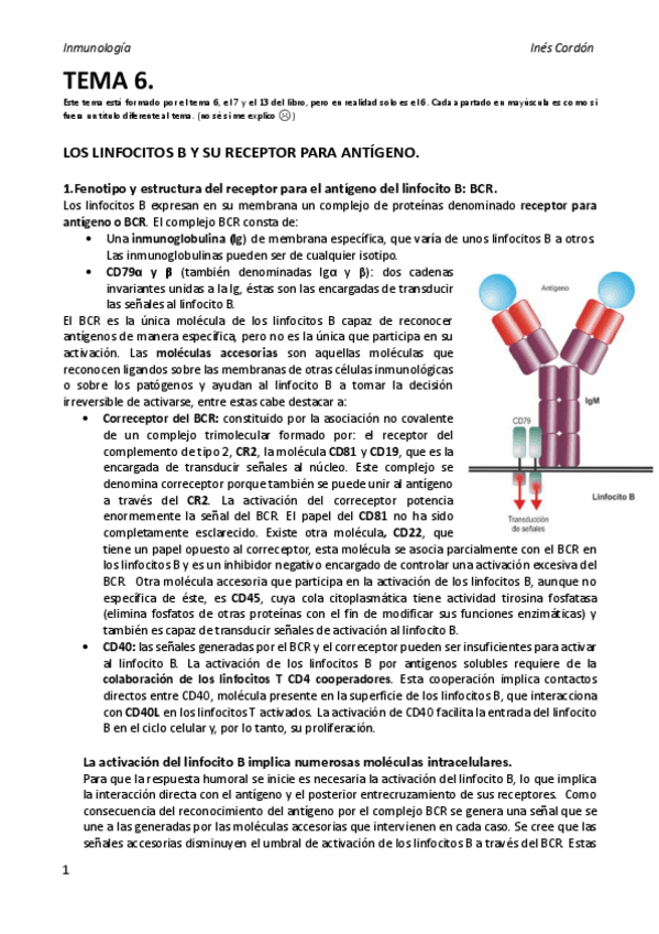 Miniatura del documento TEMA 6.pdf