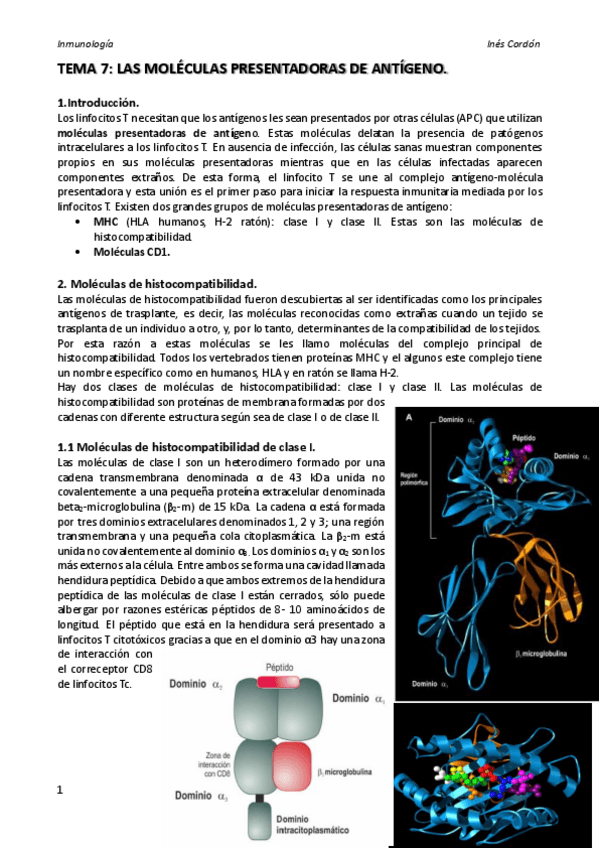 Miniatura del documento TEMA 7.pdf
