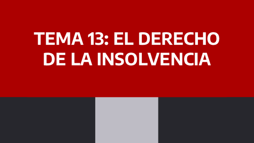 Miniatura del documento TEMA-11-EL-DERECHO-PRECONCURSAL-BAS.pdf
