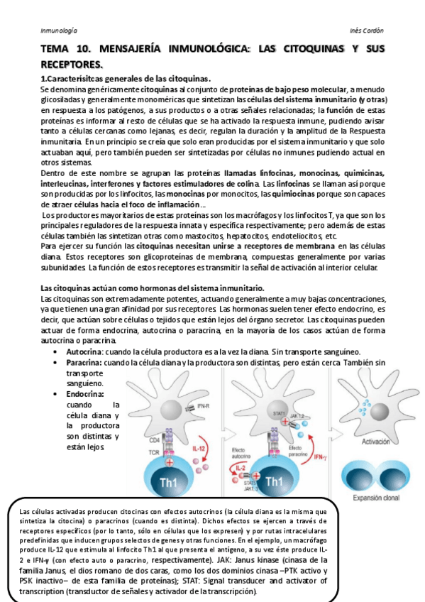 Miniatura del documento TEMA 10.pdf
