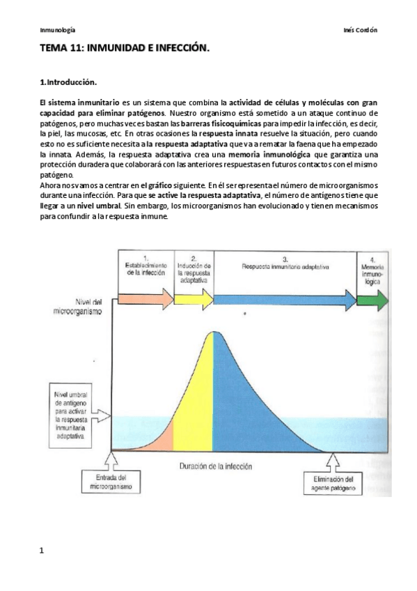 Miniatura del documento TEMA 11.pdf