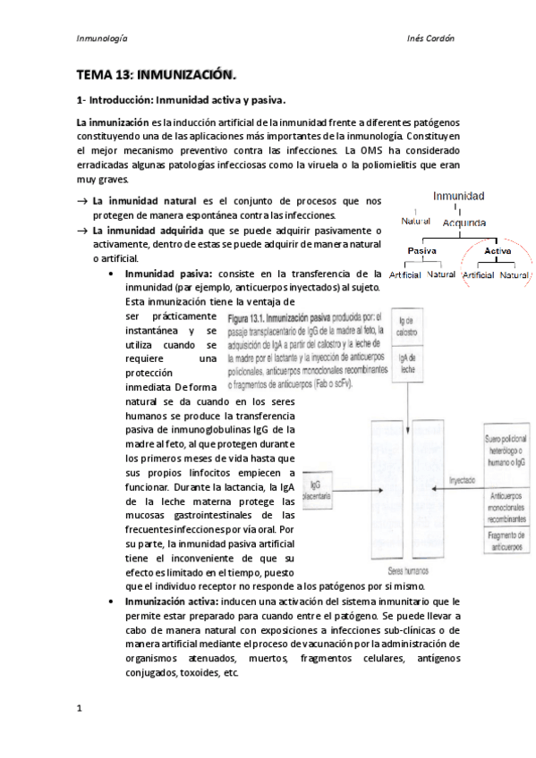 Miniatura del documento TEMA13.pdf