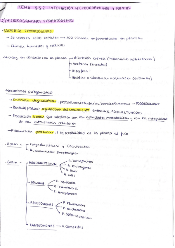 Miniatura del documento Tema-3.3.2-Interaccion-entre-microorganismos-y-plantas.pdf