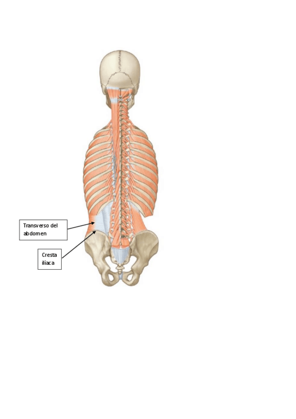 Miniatura del documento Laminas-7-CAFD.pdf