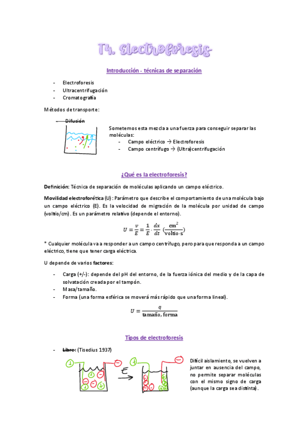 Miniatura del documento Electroforesis.pdf