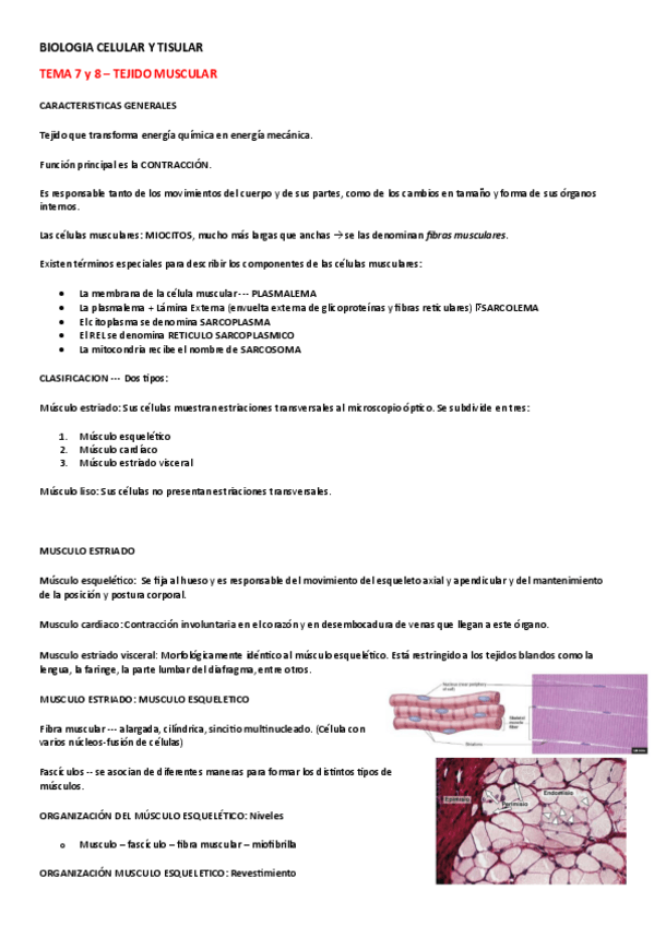 Miniatura del documento BIOLOGIA-TISULAR-TEMA-7-8.pdf