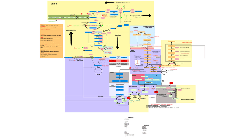 Miniatura del documento Resumen-Bioquimica-enero-Esquema.pdf