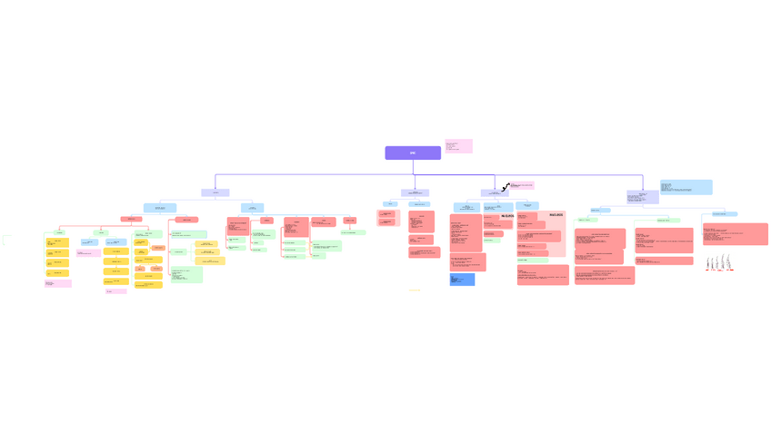 Miniatura del documento Anatomia-SNC-esquema.pdf