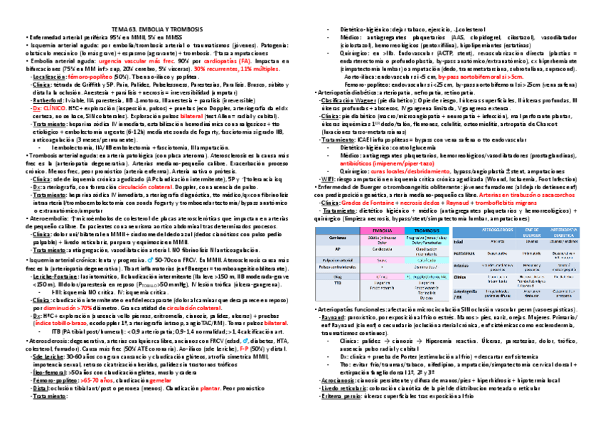 Miniatura del documento TEMA-63-Resumen-Embolia-y-trombosis.pdf