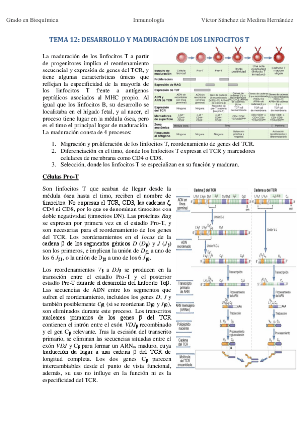 Miniatura del documento Temas 12-18.pdf