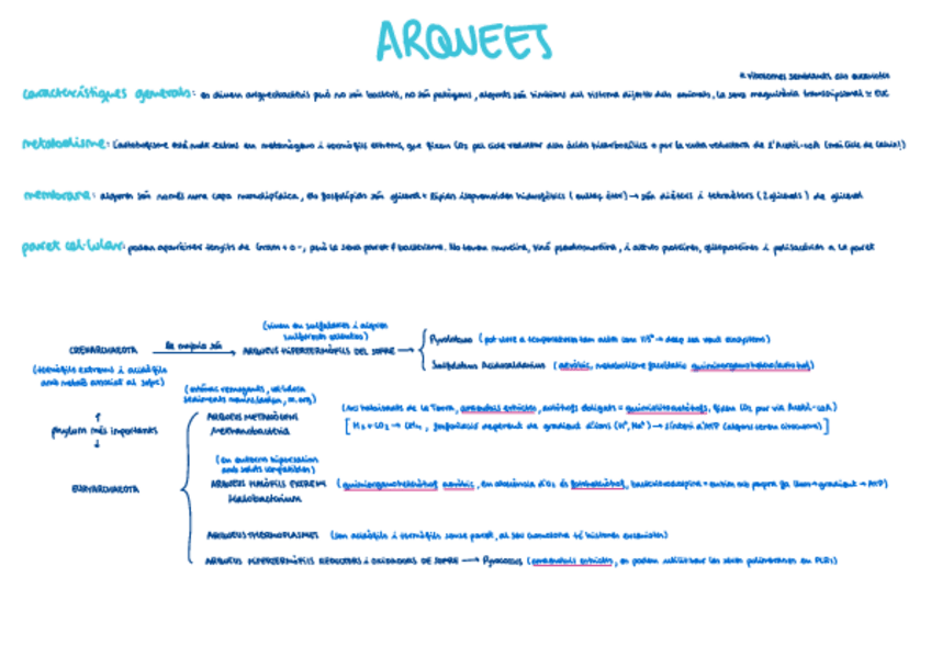 Miniatura del documento arquees.pdf